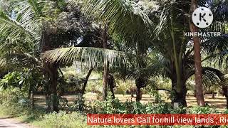 38 Guntas coconut farm for sale at 16 km from Nanjangud town it is Tar road touch .( 7349265213 )