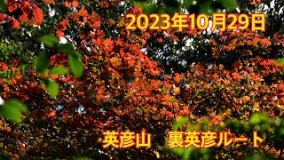 2023年10月29日　英彦山の紅葉