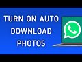 How To Turn On Auto Download For Photos On WhatsApp App On PC (New Update)