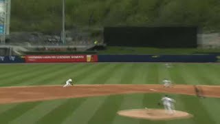 RailRiders' Wade makes diving stop