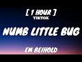 Em Beihold - Numb Little Bug (Lyrics) [1 Hour Loop] “do you ever get a little bit tired of life”