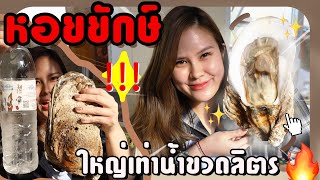 กินหอยนางรมยักษ์!ใหญ่สุดที่เคยเห็นมามีใครให้มากกว่านี้มั้ย?| Lily nawiya