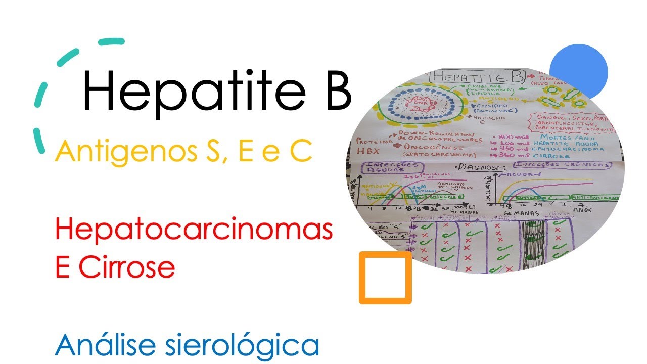 Hepatite B | Curso De Virologia | Medicina Passo A Passo - YouTube