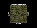 simina grigoriu auryn