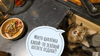 Лягушка, которую я боюсь. Она умеет кусь за пальцы!