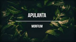 Apulanta - morfiini (magyar felirattal)