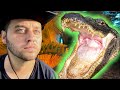 SEARCHING for a GIANT CROCODILE! (Florida Everglades)