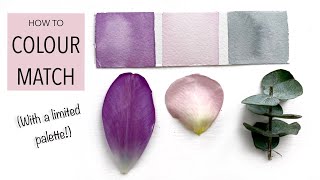 How To Colour Match With A Limited Palette! (It's easier than you think!)