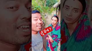 ମୁଁ କିଏ ? // minivlog // #rupapintukhusiexpress #funny #shorts #bestjodi #blogger #subscribe #gk