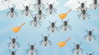 Solving Equations Fly-Swatter Bingo - Video Preview