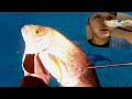 Hawaii Spearfishing | CATCHING and COOKING a BEAUTIFUL Papio