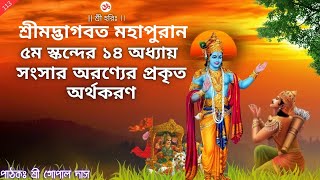 সংসার অরণ্যের প্রকৃত অর্থকরন Chap 5 (14) | Bangla Srimad Vagbat Path