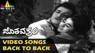 Jeevitha Chakram Songs Jukebox | Video Songs Back to Back | NTR, Vanisri | Sri Balaji Video