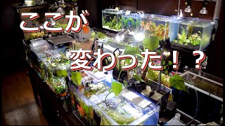 ギャラリー43水槽！最近ガラッと変わった！【水槽部屋紹介】