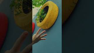 🌱Ideia criativa com pneu-Garden creative idea #shortvideo #shorts #short #shortsfeed #youtubeshorts