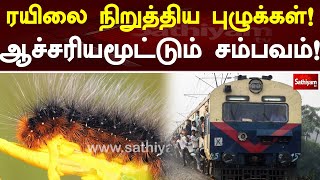 ரயிலை நிறுத்திய புழுக்கள்!ஆச்சரியமூட்டும் சம்பவம்! | Train | Web Special | Sathiyam Tv