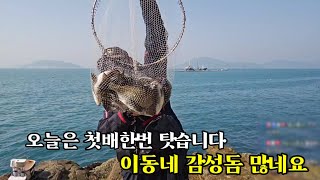 툭 던지니 감성돔이 퍽퍽퍽퍽퍽퍽퍽퍽하네요 [구독자님과 즐거운시간]