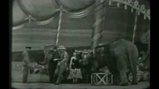 Super Circus Show Claude Kirchner Elephant Act