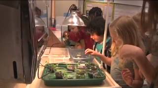 YES-TV: Washington Achievement Award Schools