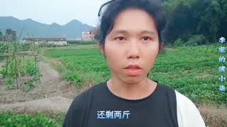 又给粉丝挖五指毛桃了，之前粉丝说我不想赚，也没那么多人要啊