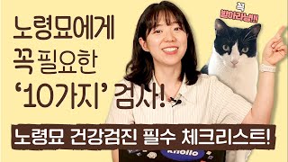 노령묘 건강검진 필수항목이 있다고요? 🐈‍⬛ l 나는 노령묘견과 산다 l 채민경 수의사