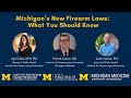 Michigan’s New Firearm Laws: What You Should Know