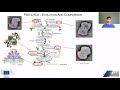 introduction to photosynthetic supercomplexes and structure