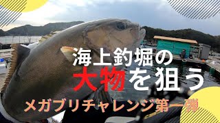 寒い冬も関係なし！海上釣堀の大物を釣ろう