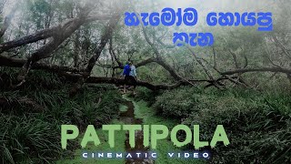 Pattipola-Horton plains | හැමෝම හොයපු සුන්දර තැන | Ambewela | KandeEla | Nuwaraeliya | BadullaTrain