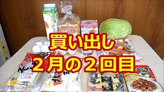 ２月の２回目　食料品の買い出し　１１点購入