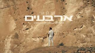 דוד לב ארי - ארבעים