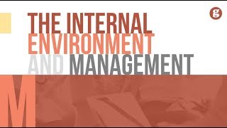 The Internal Enviornment and Management