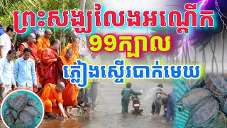 ព្រះសង្ឃលេងសត្វអណ្ដេីក99ក្បាល​ ស្រាប់តែភ្លៀងស្ទេីរបាក់មេឃ​ ស្រុកបាណន់​ ខេត្តបាត់ដំបង