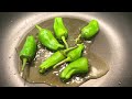 pimientos de padrón a guide to their history flavor and cultivation part 1