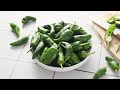 pimientos de padrón a guide to their history flavor and cultivation part 1