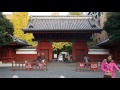 東京の紅葉　東大本郷構内　赤門　イチョウの紅葉　２０１５．１１．３０　hongo tokyo