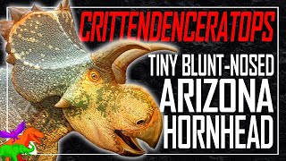 Southwestern Horned Dinosaur Did Things Differently Than Triceratops...