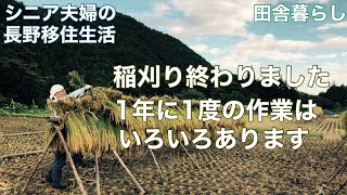 【わたし流田舎暮らしNo.30】長野移住/稲刈終わりました/1年に1度の作業にはハプニングいろいろ起こります/新米が楽しみです