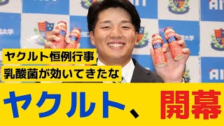 【悲報】ヤクルト、開幕ｗｗｗ