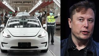 Tesla To Make Emergency Medical Supplies? 🏥