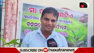 ପବିତ୍ର ରଥଯାତ୍ରା  ଉପଲକ୍ଷେ ବୃକ୍ଷ ରୋପଣ  || Naxatra News