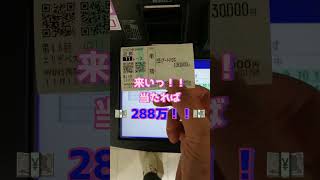 【13万円の大勝負!!当たれば288万円!!】#競馬#エリザベス女王杯#大勝負#馬券転がし#weeeek#アートハウス#shorts