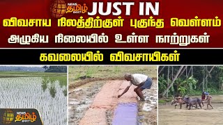 விவசாய நிலத்திற்குள் புகுந்த வெள்ளம் அழுகிய நிலையில் உள்ள நாற்றுகள்.. | Newstamil24x7