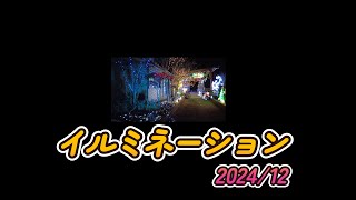 「イルミネーション」　津久見市千怒（ちぬ）　2024/12/28