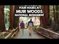 An Overview of Muir Woods National Monument