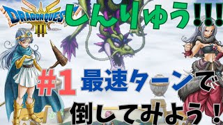 ＜ドラクエ3 HD-2D版＞しんりゅう戦…！！！なんとか、10ターン撃破までたどり着きました…【ドラゴンクエストlll そして、伝説へ…】＜リメイク＞【有馬記念】お疲れさまでした…！！！