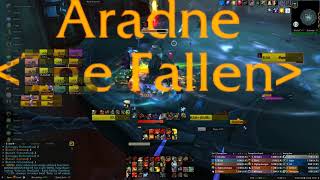 The Nine N (3/10) 224 Fury Warrior WoW 9.1 SoD Raid Boss