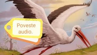 Barza Rătăcită. Poveste cu Animale pentru Copii. Povesti Audio Online în Limba Română.