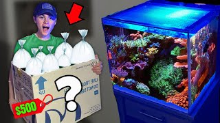 BUYING a $500 CORAL MYSTERY BOX for My SALTWATER REEF AQUARIUM!!