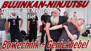 Bujinkan-Ninjutsu: Boxtechnik 1 - Nackenhebel